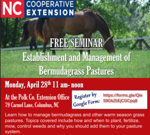 Cover photo for Free Seminar - Establishment and Management of Bermuda Pastures - Monday, April 28th